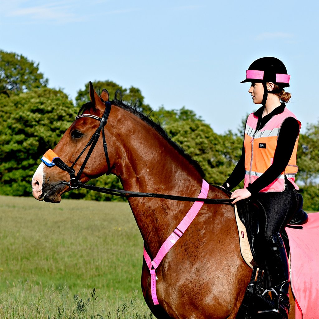 Equisafety Charlotte Dujardin Multi Mesh Waistcoat