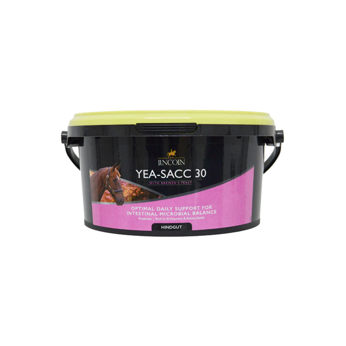Lincoln Yea-Sacc 30