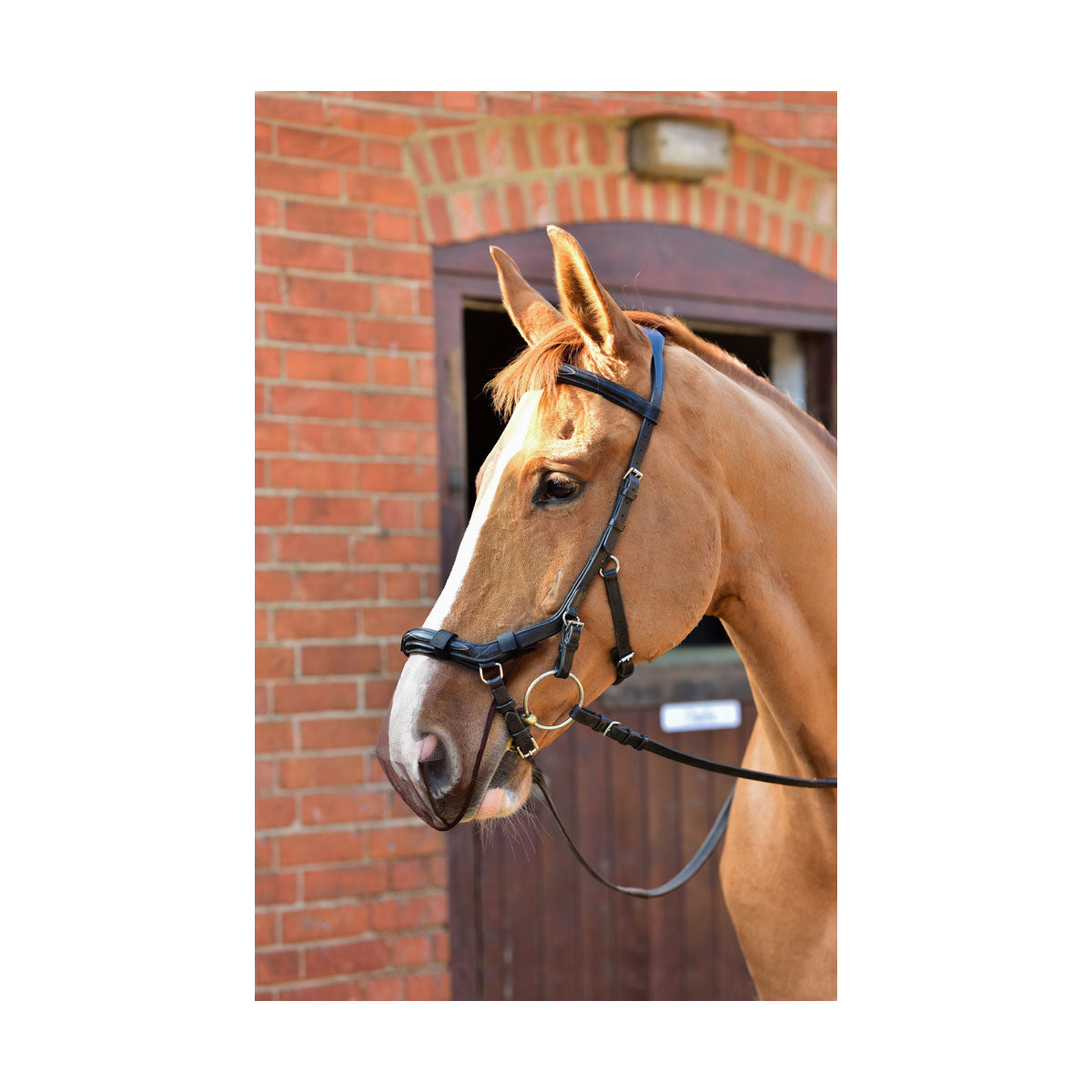 Equilibrium Net Relief Muzzle Net for Micklem® Bridles
