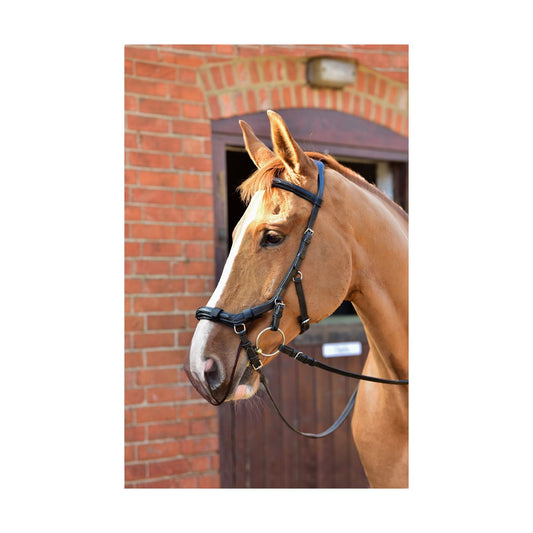 Equilibrium Net Relief Muzzle Net for Micklem® Bridles