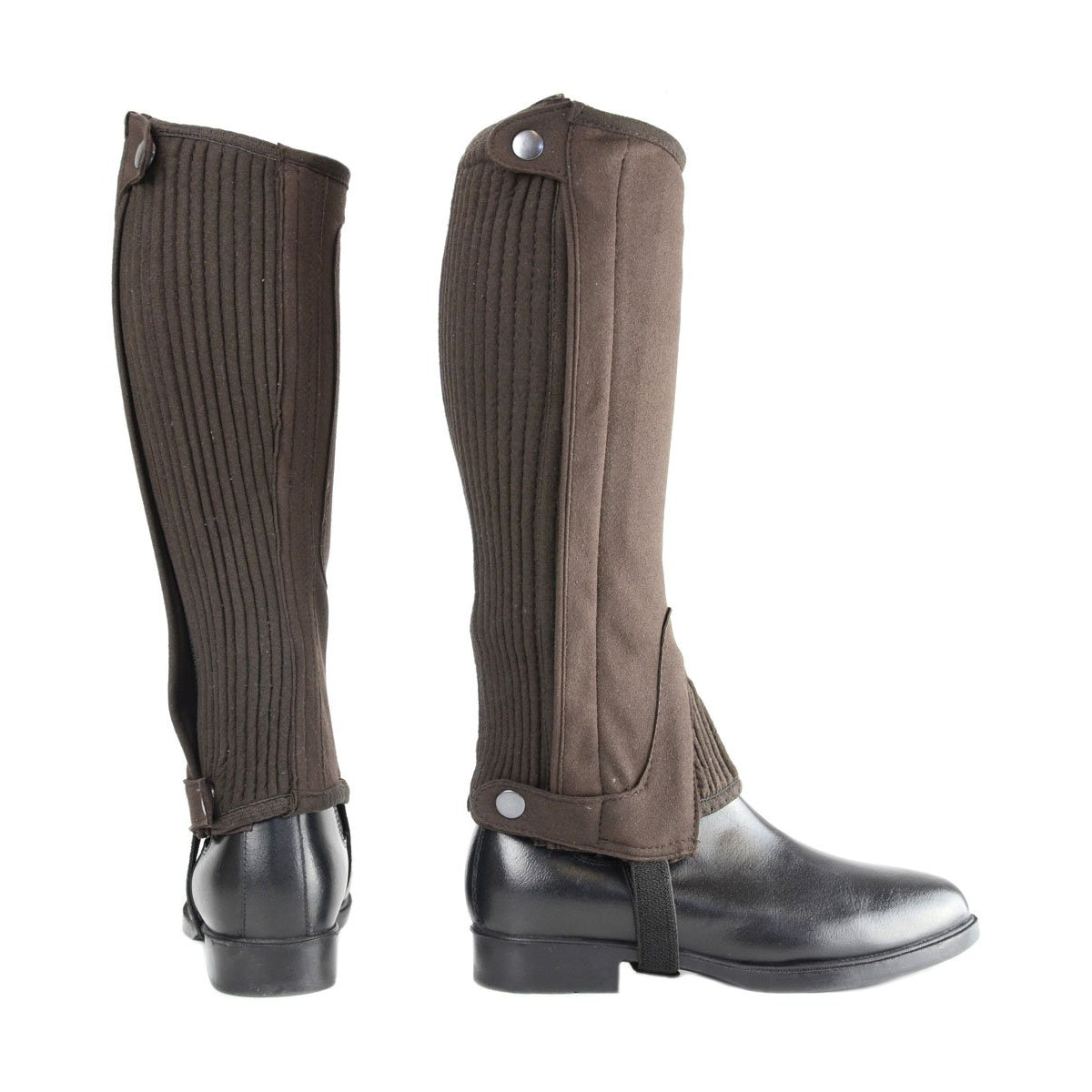HyLAND Amara Half Chaps - Adult