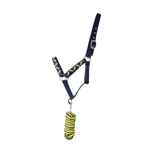Little Knight Lancelot Head Collar & Lead Rope