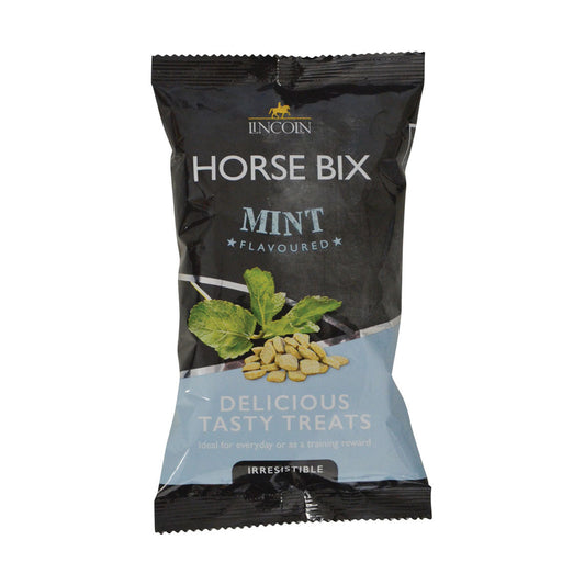 Lincoln Horse Bix