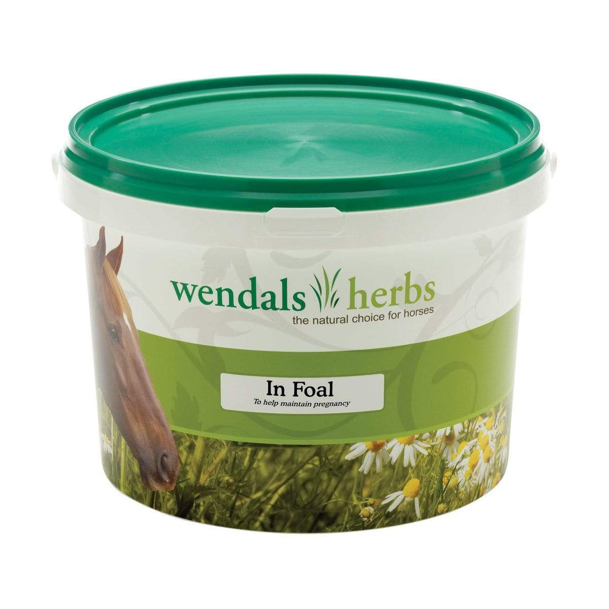 Wendals Herbs In Foal
