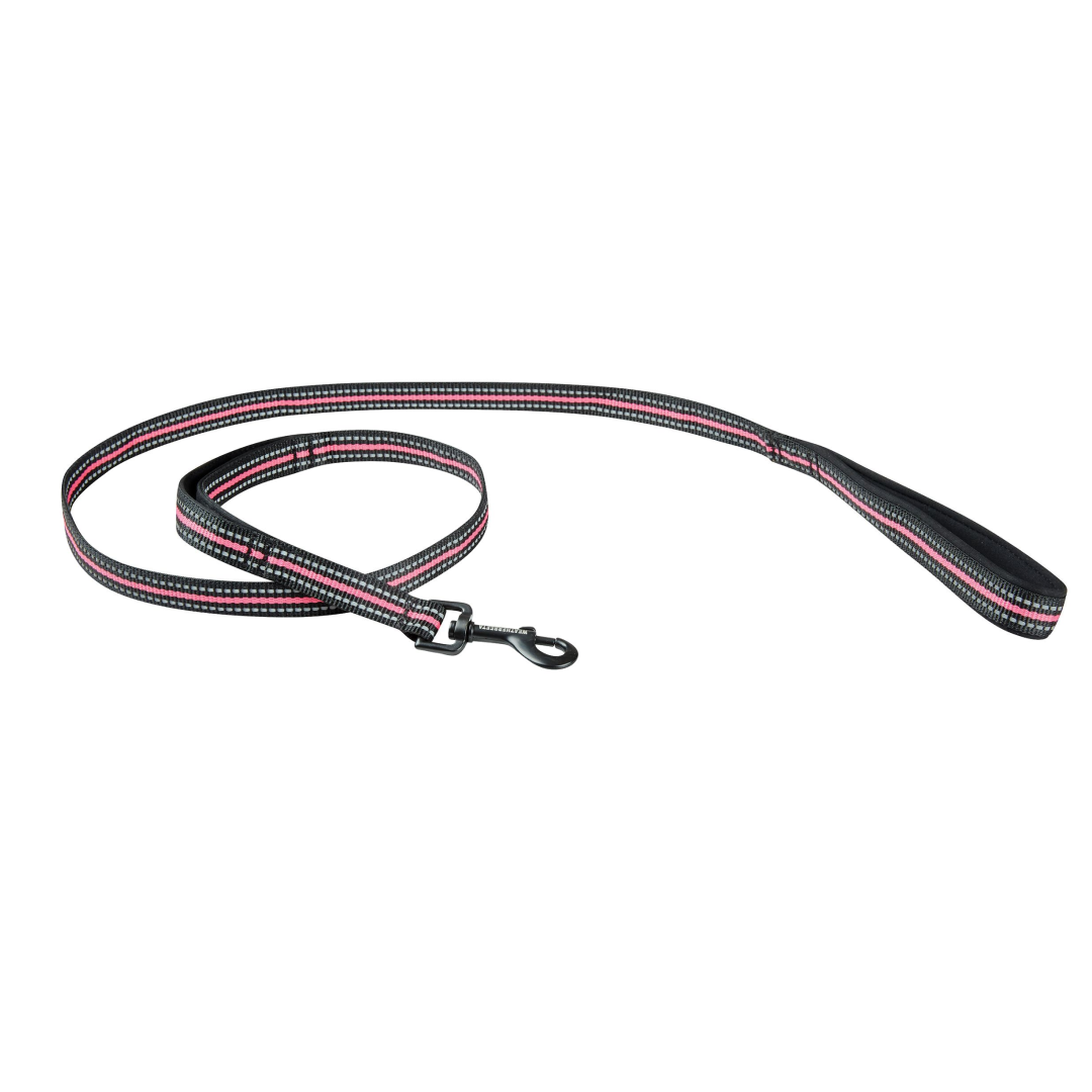 Weatherbeeta Reflective Dog Lead