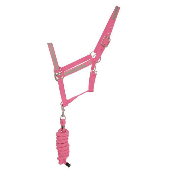 HyVIZ Reflector Head Collar and Lead Rope