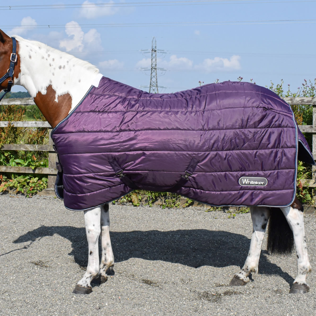 Whitaker Thistle Stable Rug 200g