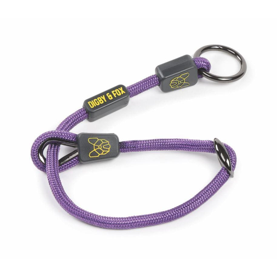 Digby & Fox Pro Slip Dog Collar