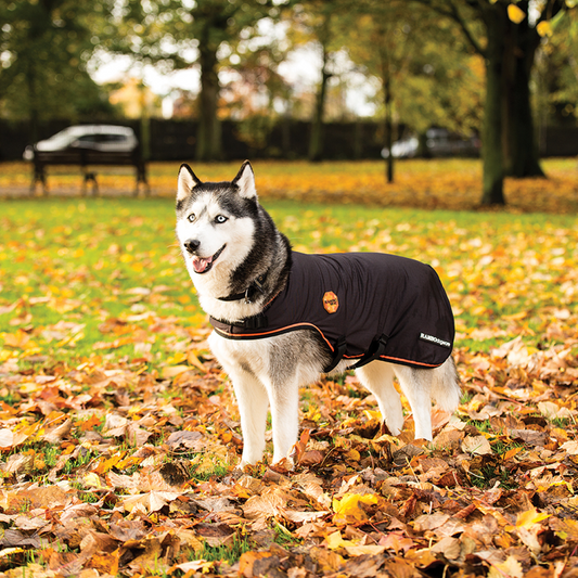 Horseware Ireland Rambo Ionic Dog Rug