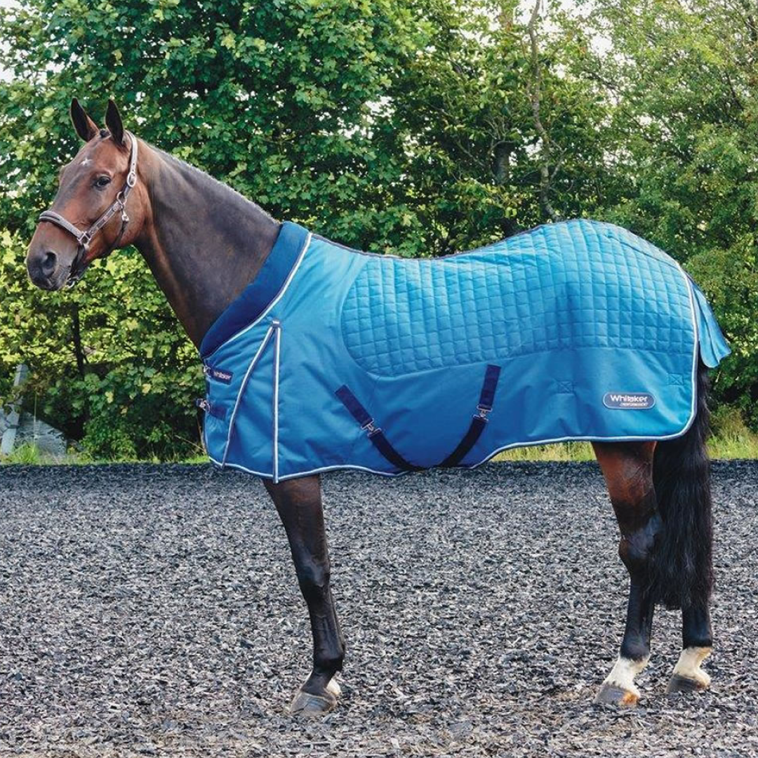 Whitaker Ottowa Stable Rug 200g