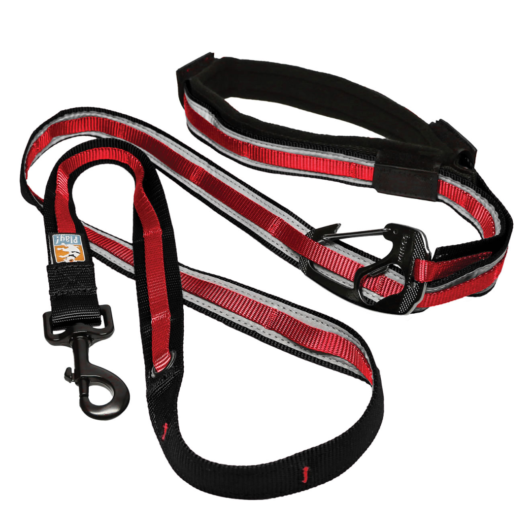 Kurgo Reflect & Protect Quantum Lead