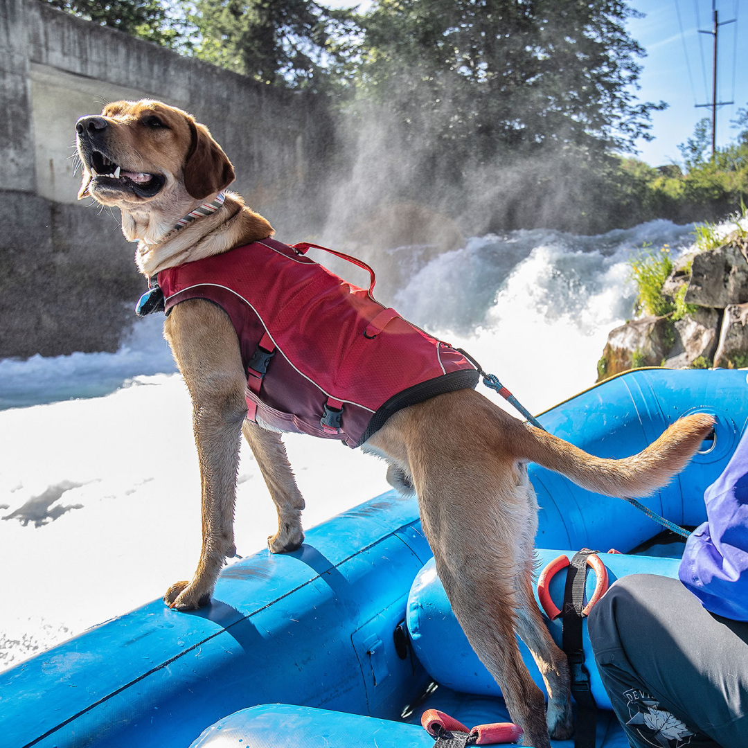 Kurgo Life Jacket Surf N Turf