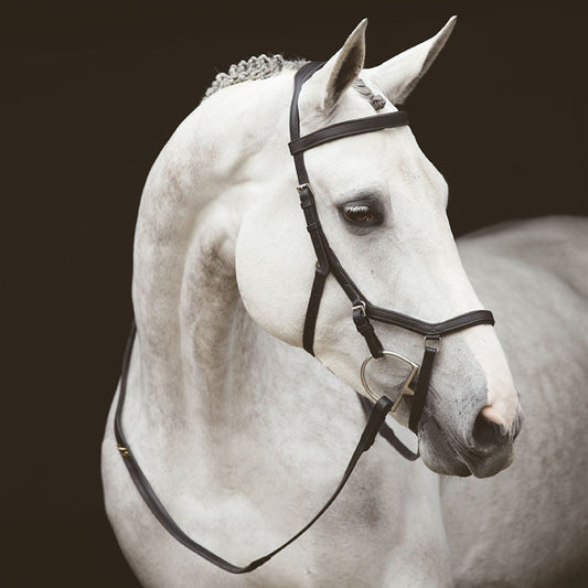 Horseware Irlanda Rambo Micklem Competencia original Bridle sin riendas