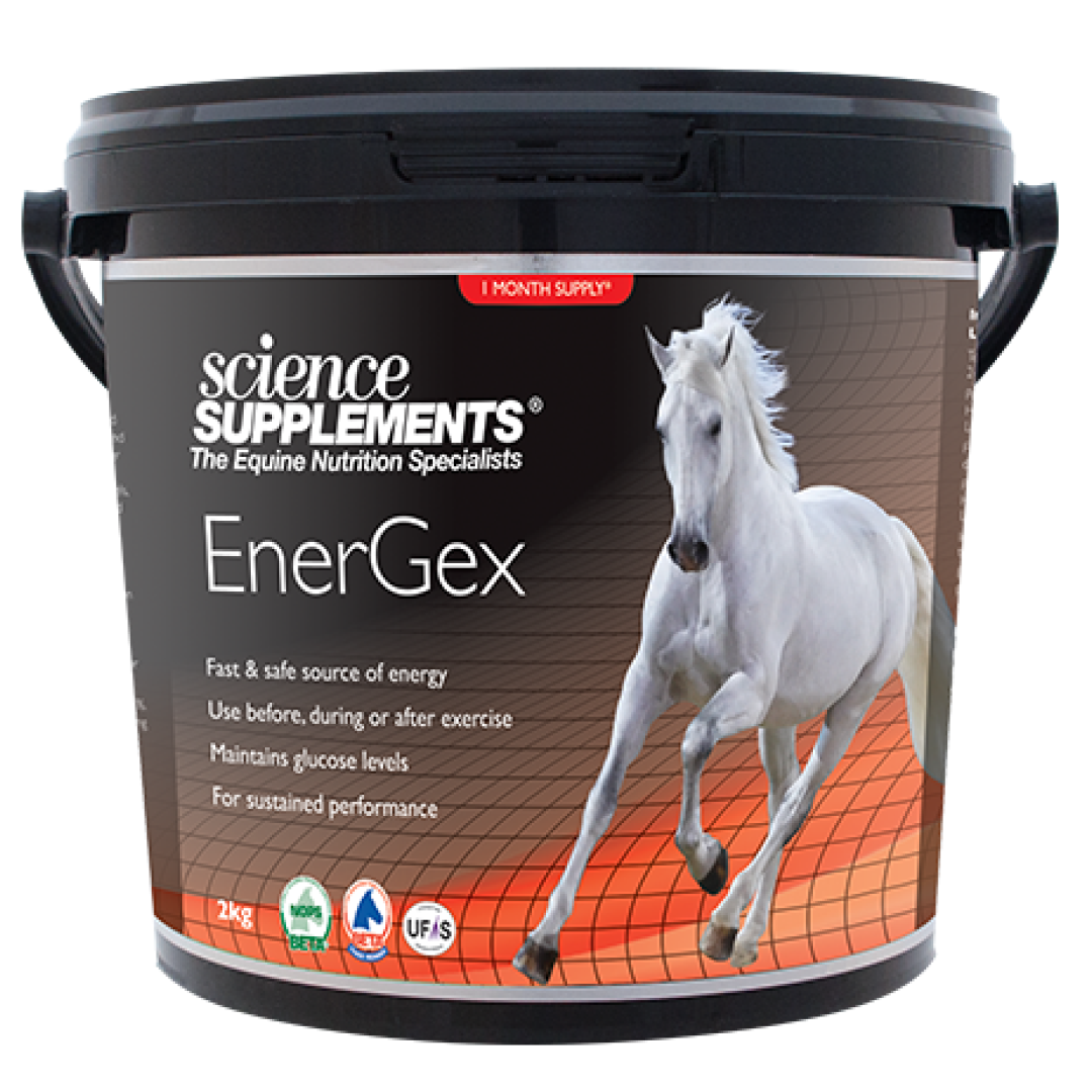 Suplementos científicos Energex