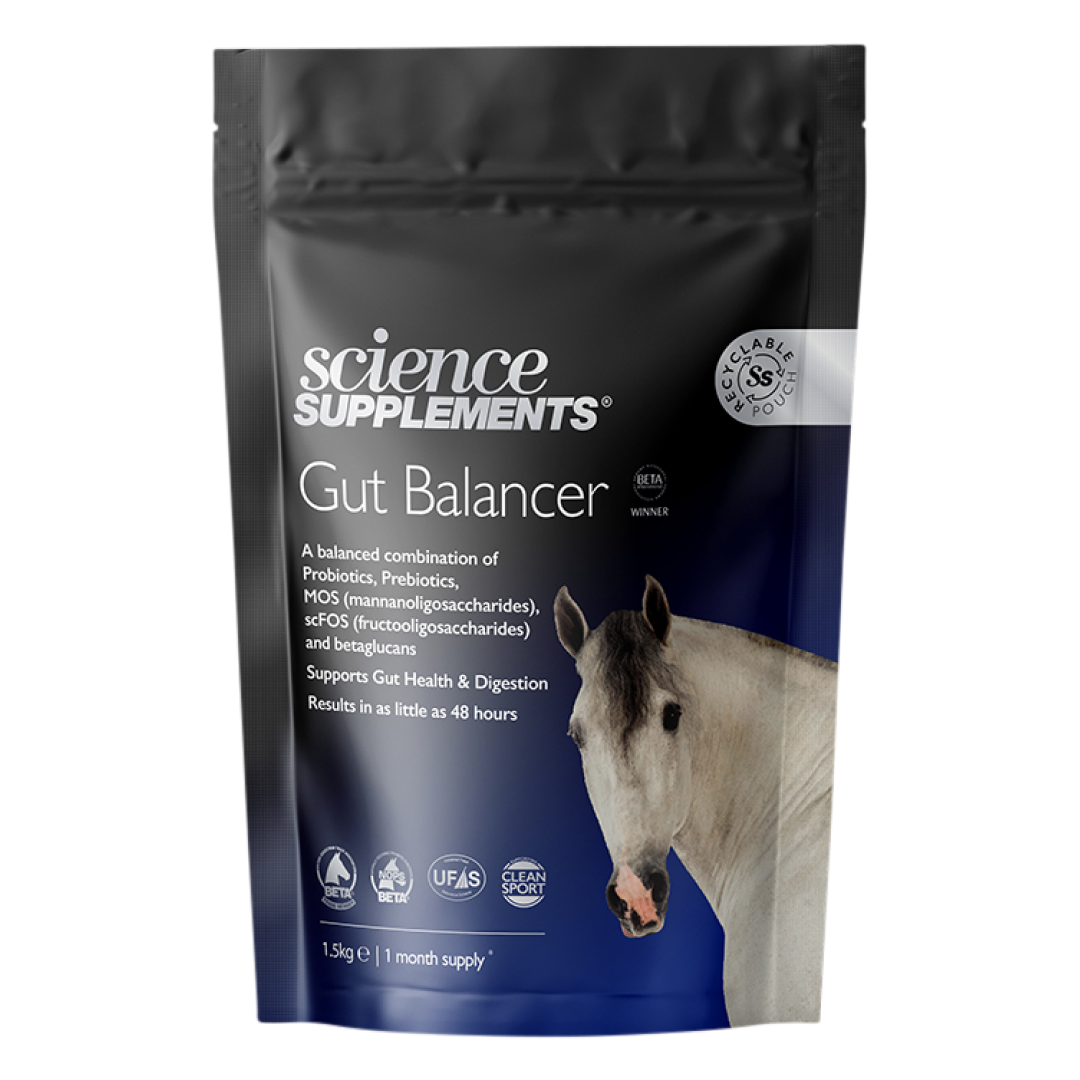 Suplementos científicos Balancer intestino