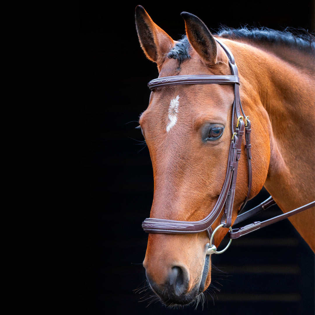 Shires Salisbury Berkeley Anatomical Cavesson Bridle