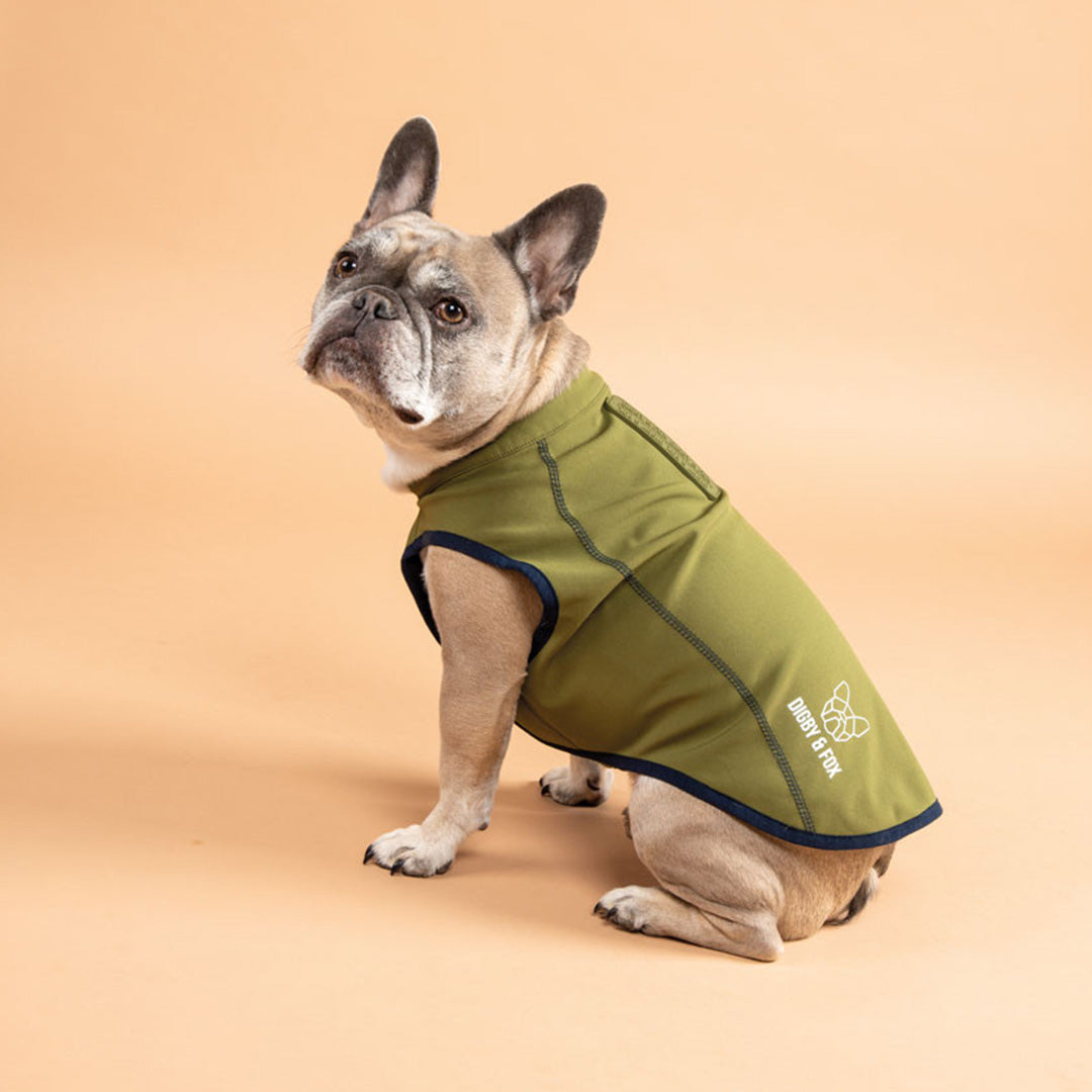 Shires Digby & Fox Softshell Dog Coat