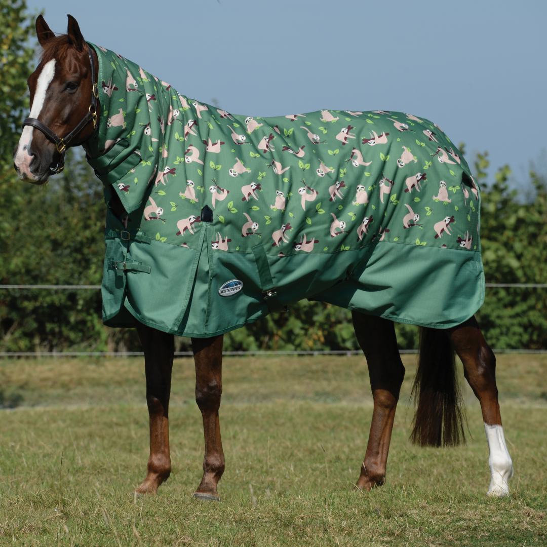 Weatherbeeta ComFiTec Essential Combo Neck Medium Turnout Rug