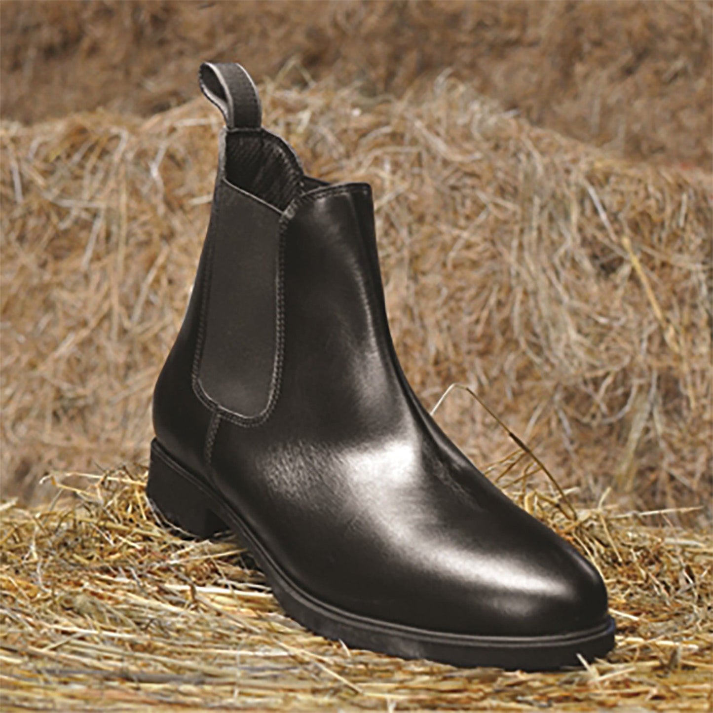 Mark Todd Toddy Zip Junior Jodhpur Boots