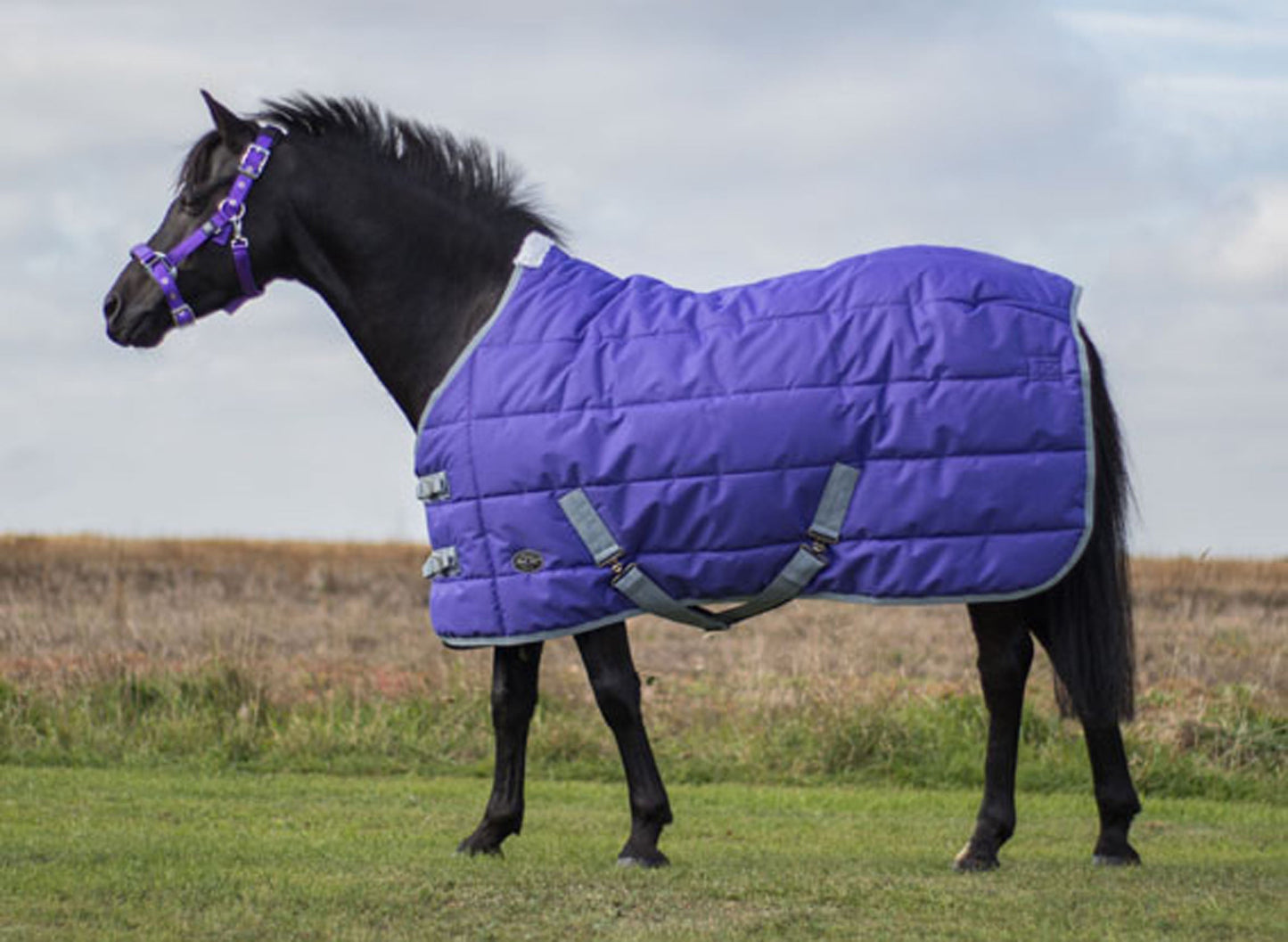 Mark Todd Mediumweight Pony Stable Rug