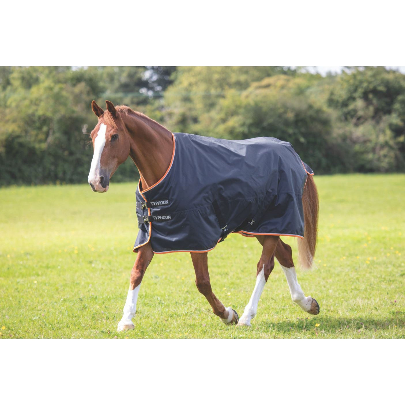 Shires Typhoon 200g Turnout Rug