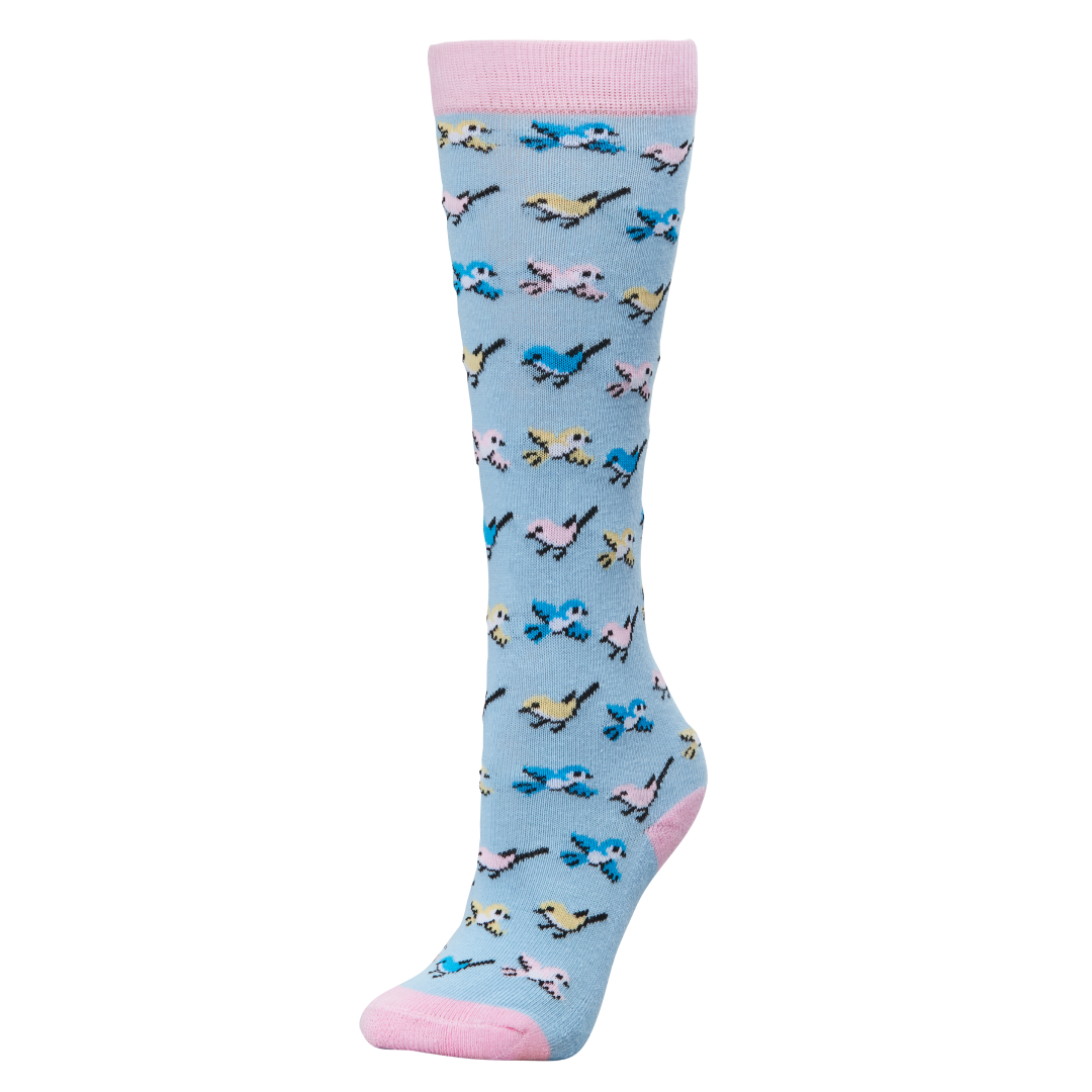 Dublin Single Pack Socks Childs