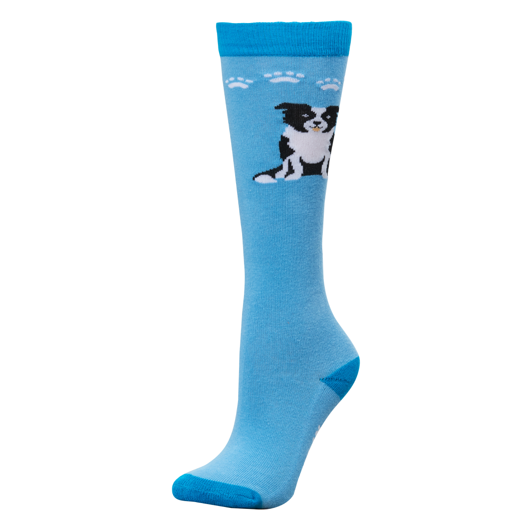 Dublin Single Pack Socks Adults
