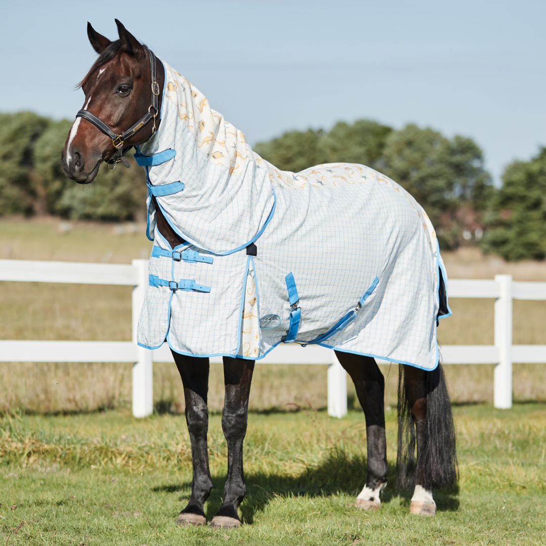 Weatherbeeta Summer Sheet Lite IV Combo Neck