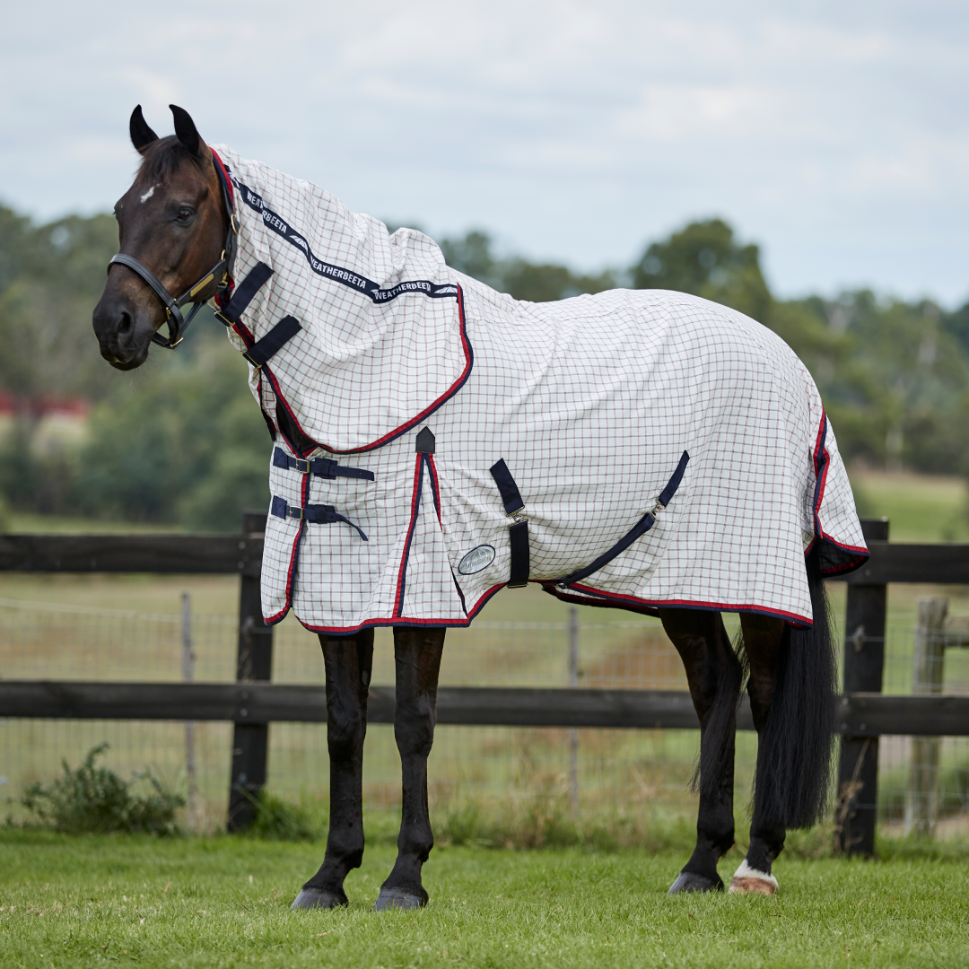 Weatherbeeta Summer Sheet Lite IV Combo Neck
