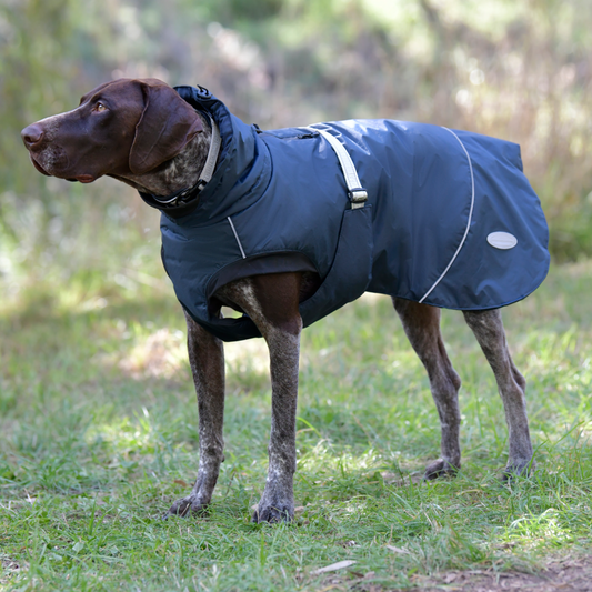 Weatherbeeta Explorer Medium Dog Coat