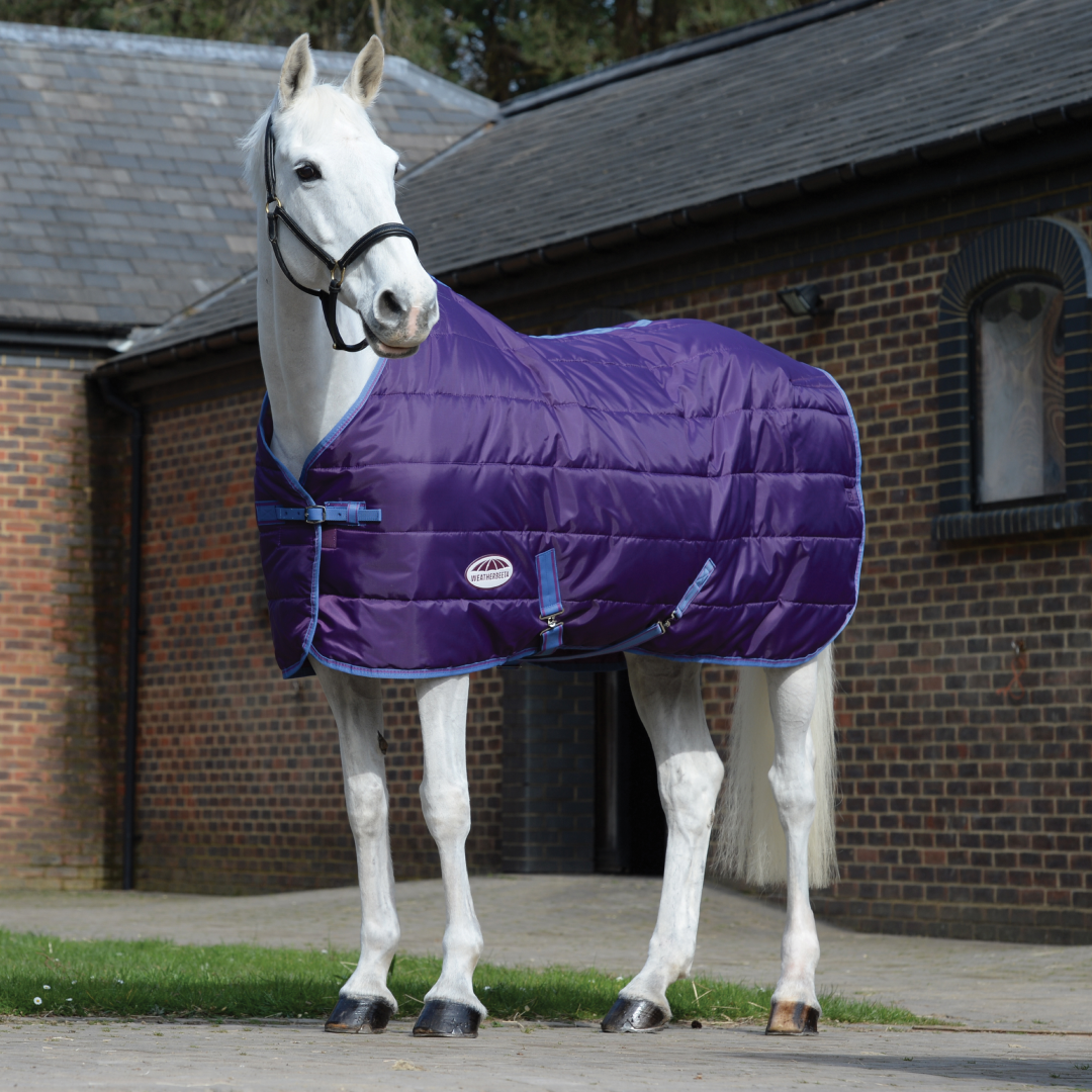 Weatherbeeta Comfitec 210D Channel Quilt Standard Neck Medium Lite
