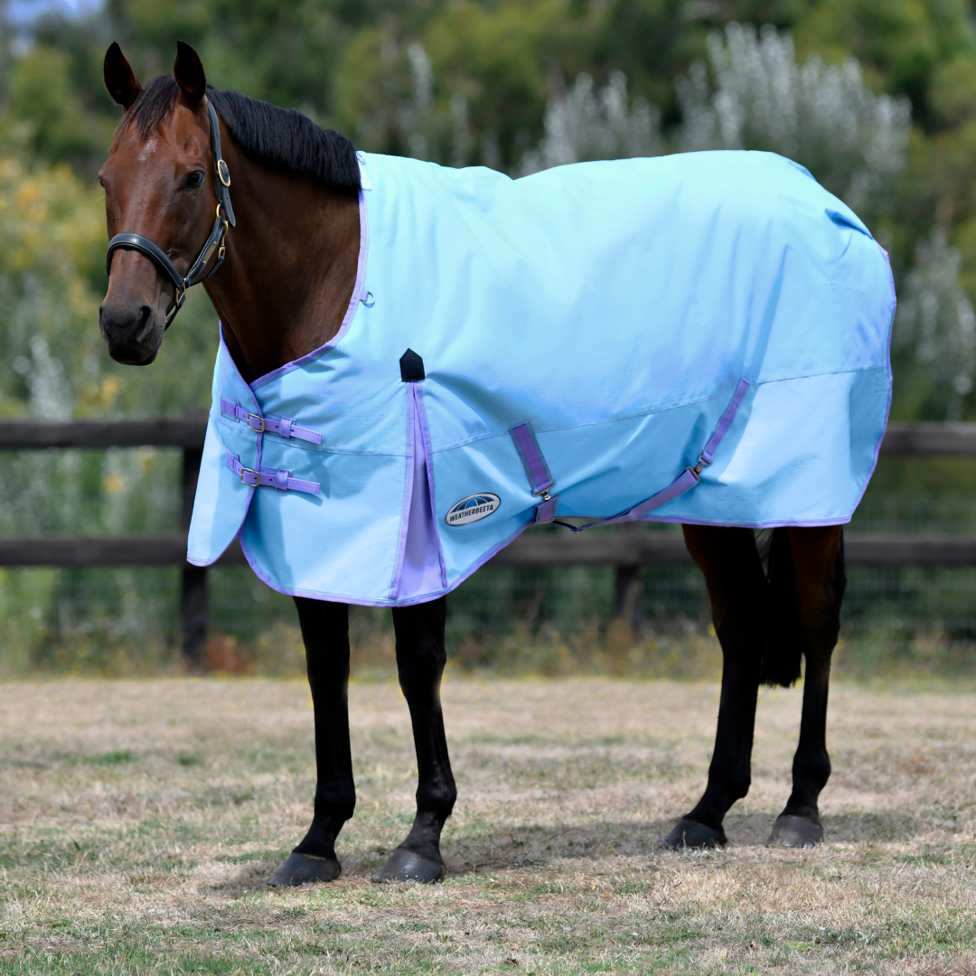 Weatherbeeta Comfitec Classic Standard Neck Lite Rug