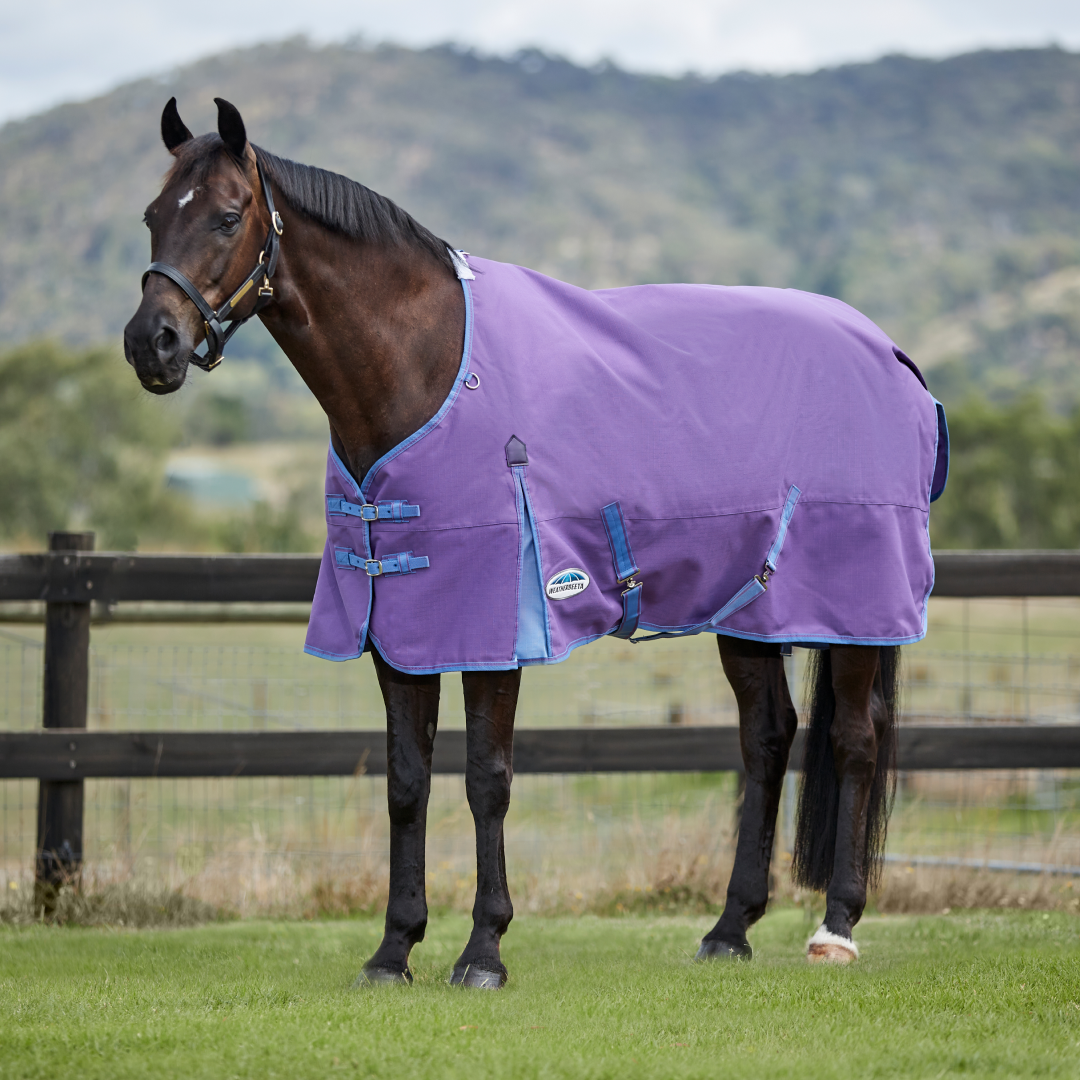 Weatherbeeta Comfitec Essential Standard Neck Lite Rug