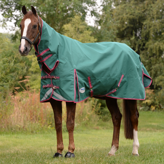Weatherbeeta Comfitec Plus Dynamic II Combo Neck Lite