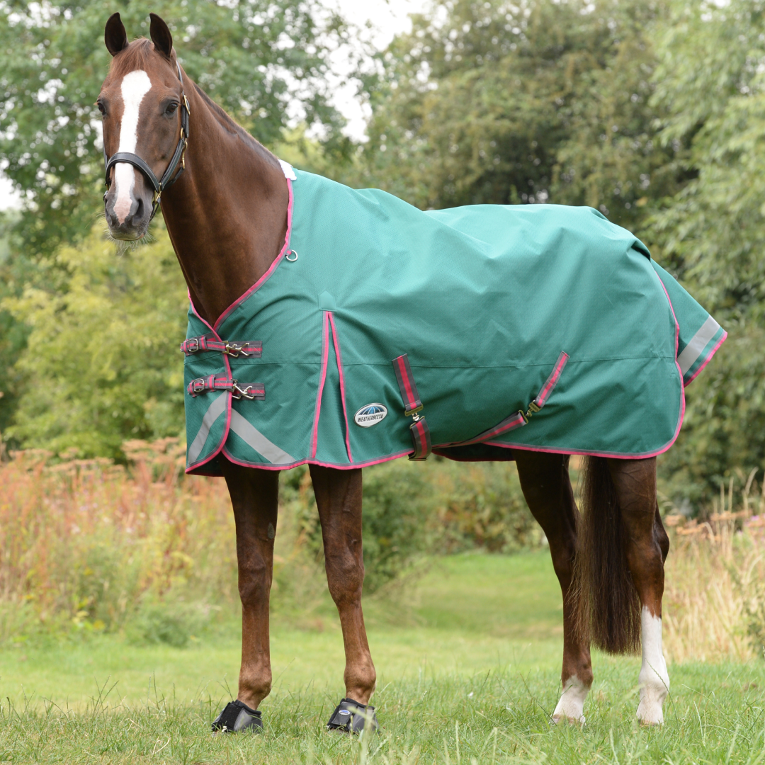 Weatherbeeta Comfitec Plus Dynamic II Standard Neck Lite