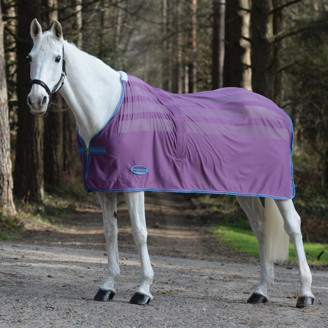 Weatherbeeta Scrim Cooler Standard Neck