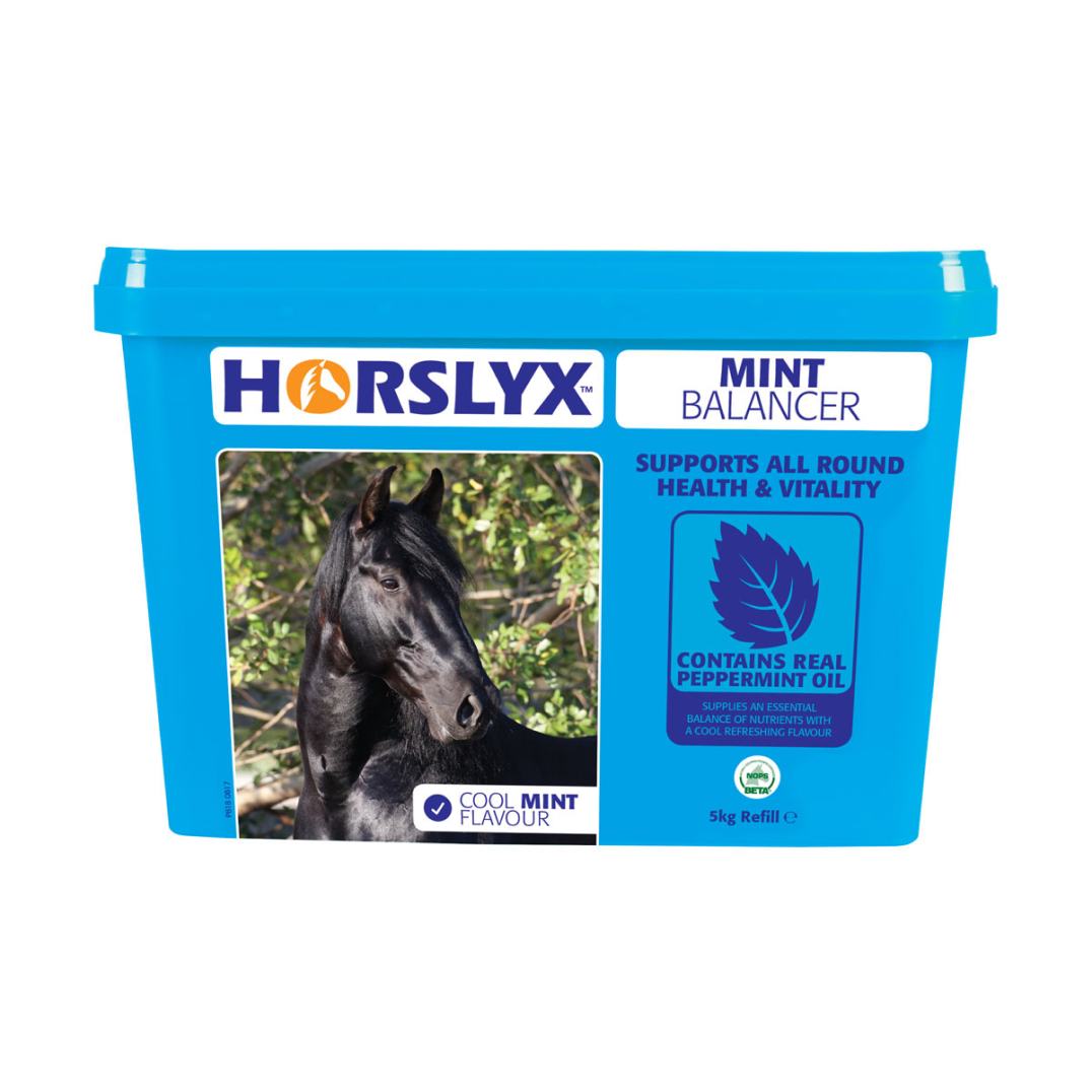 Horslyx Mint