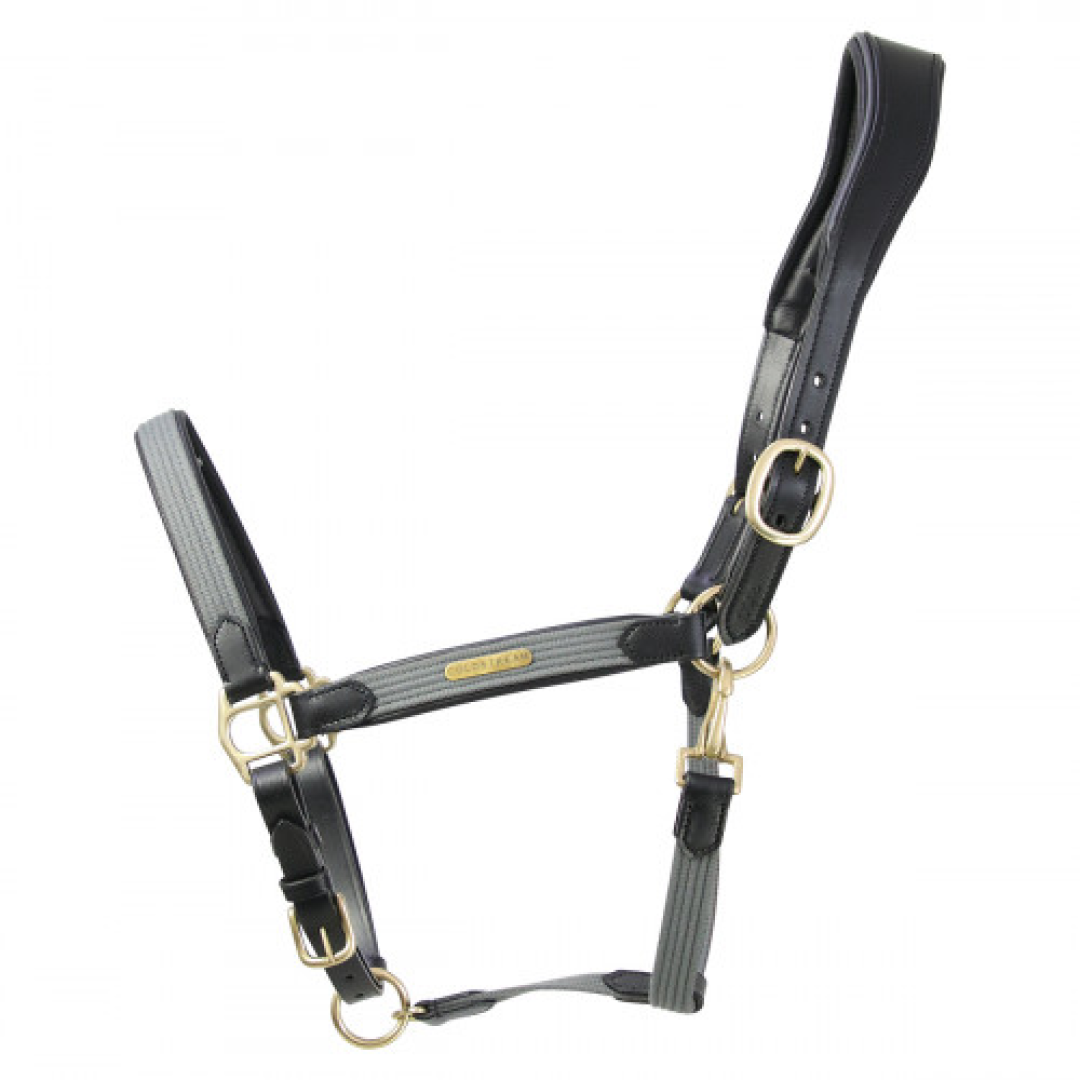 Coldstream Bathan Head Collar