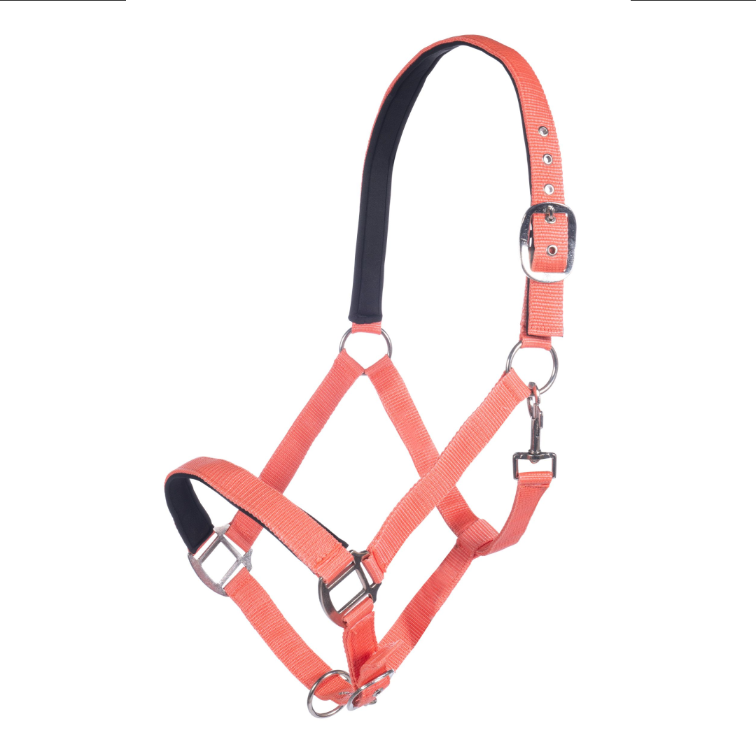 HKM Charming Head Collar