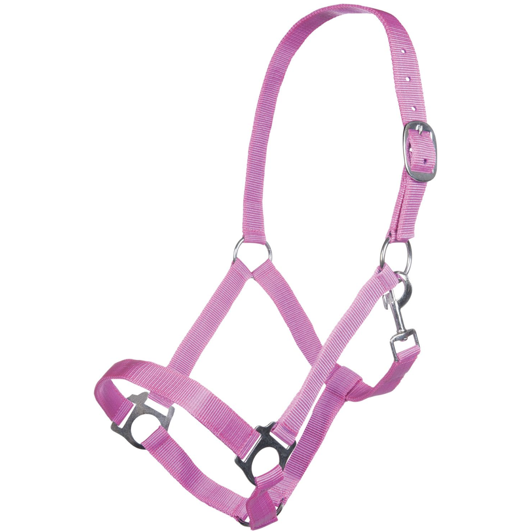 HKM Innsbruck Head Collar