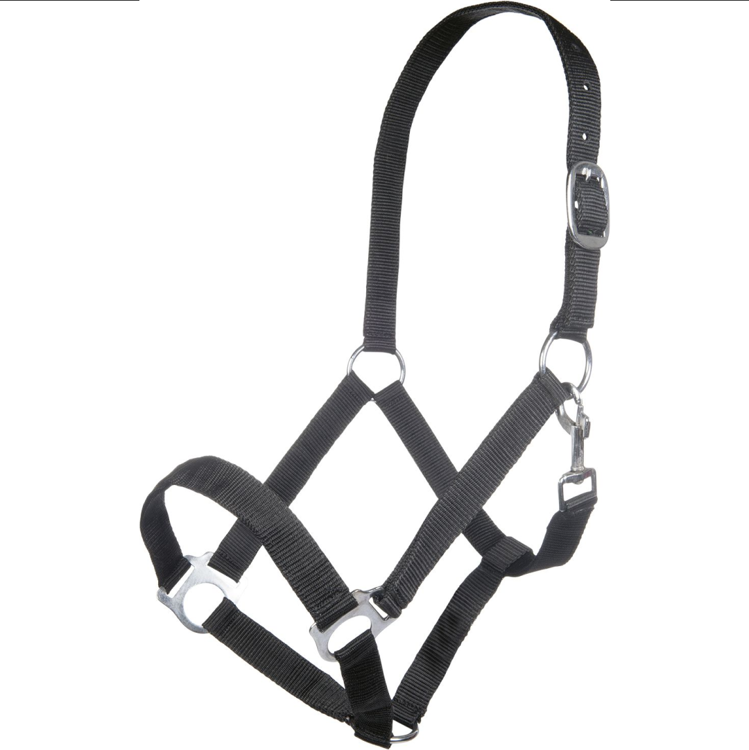 HKM Innsbruck Head Collar