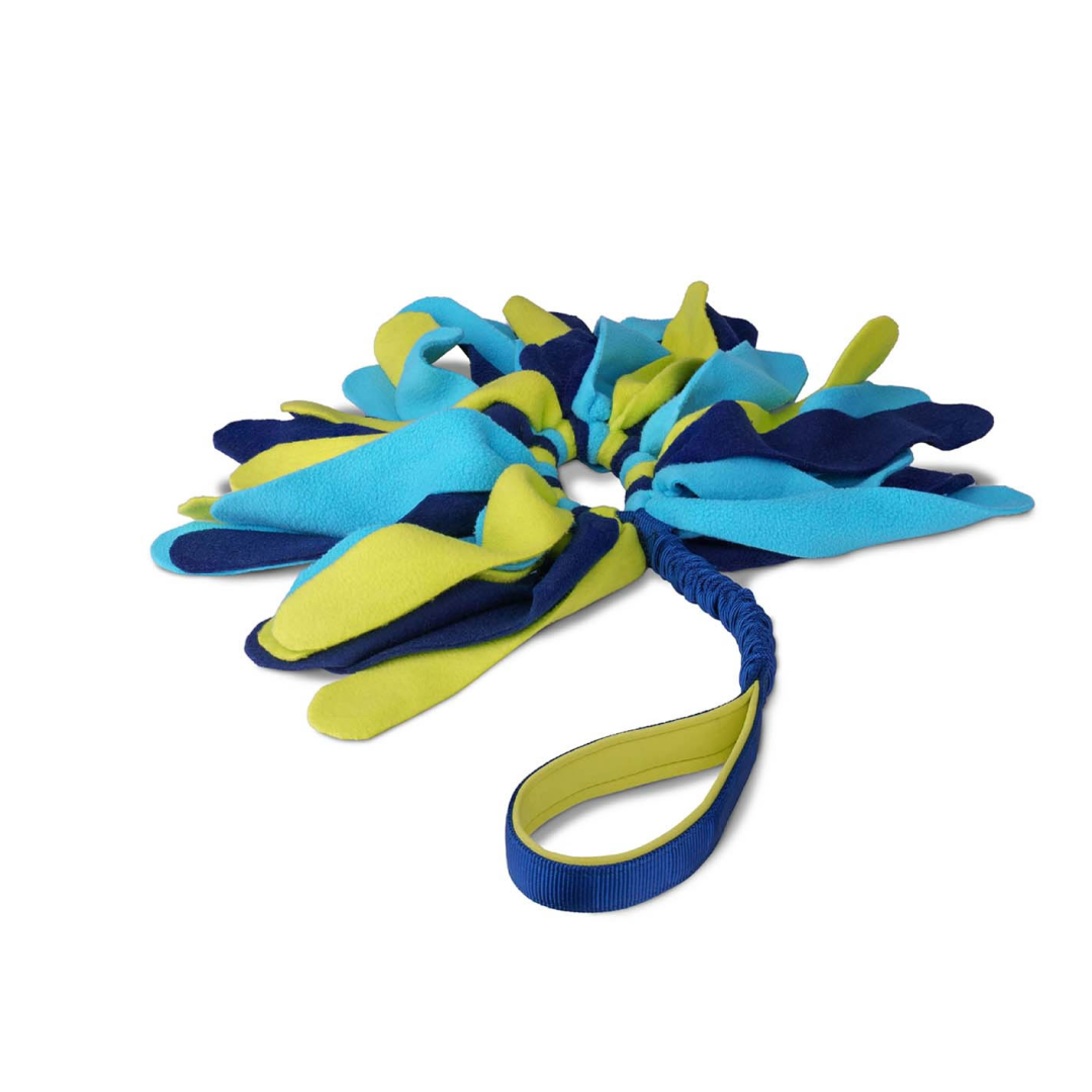 Coachi Tuggi Spider