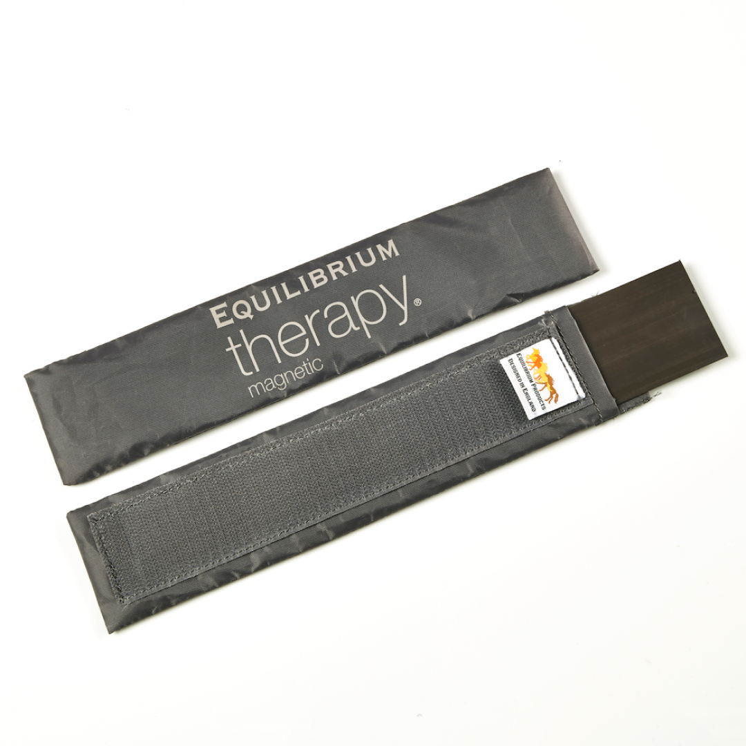 Equilibrium Spare Magnet