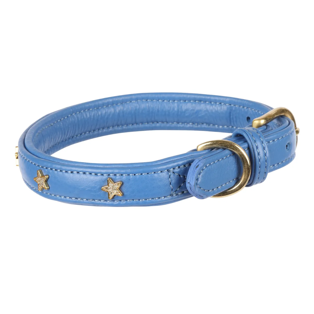 Shires Digby & Fox Star Dog Collar