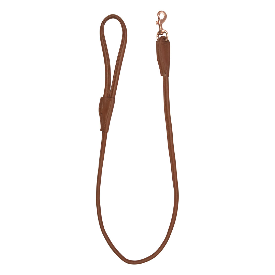 Benji & Flo Superior Rolled Leather Dog Lead