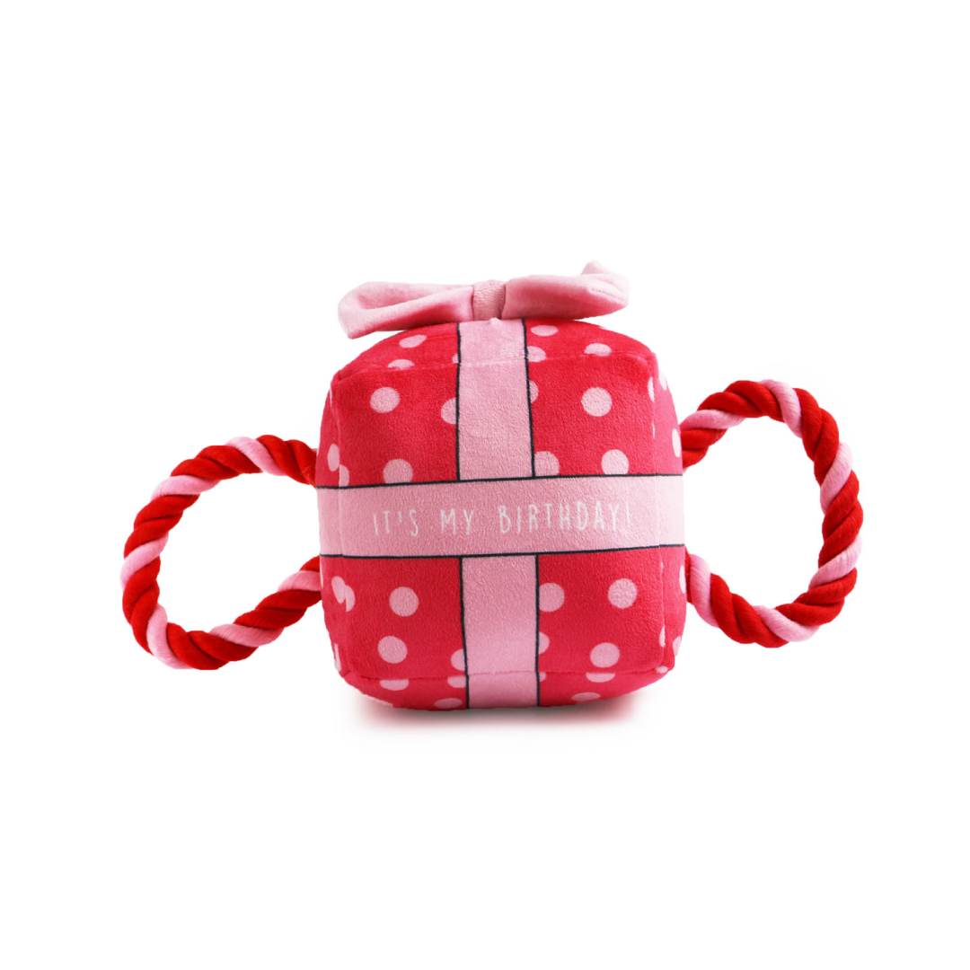 Ancol Pawty Time Birthday Present Dog Toy