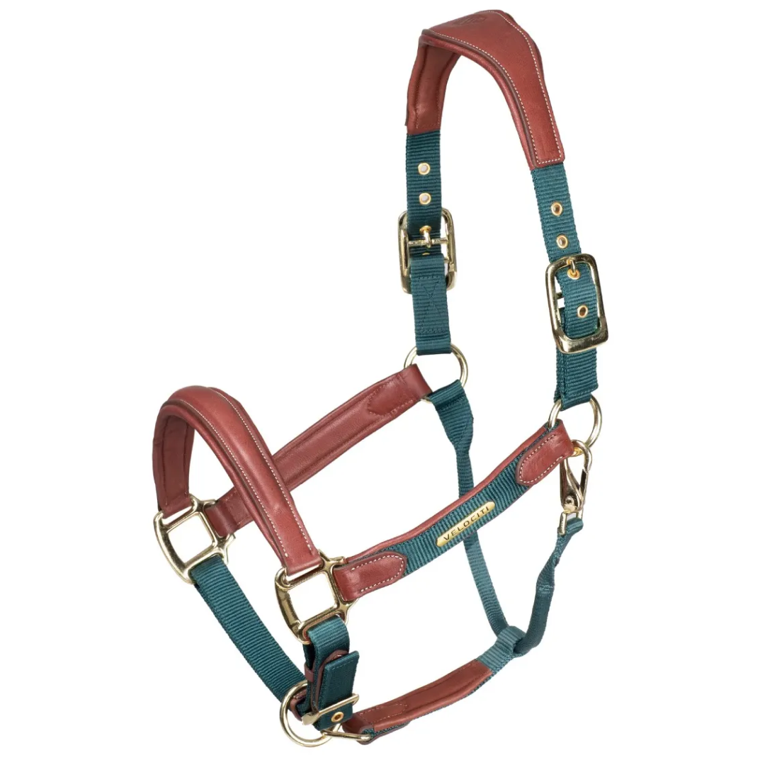 Shires Velociti Lusso Padded Leather Headcollar