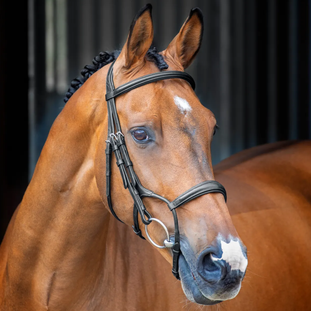 Shires Lusso Rolled Padded Cavesson Bridle
