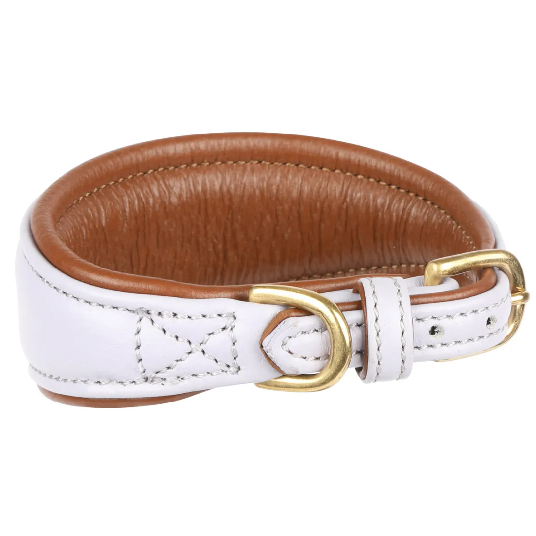 Shires Digby & Fox Padded Greyhound Collar