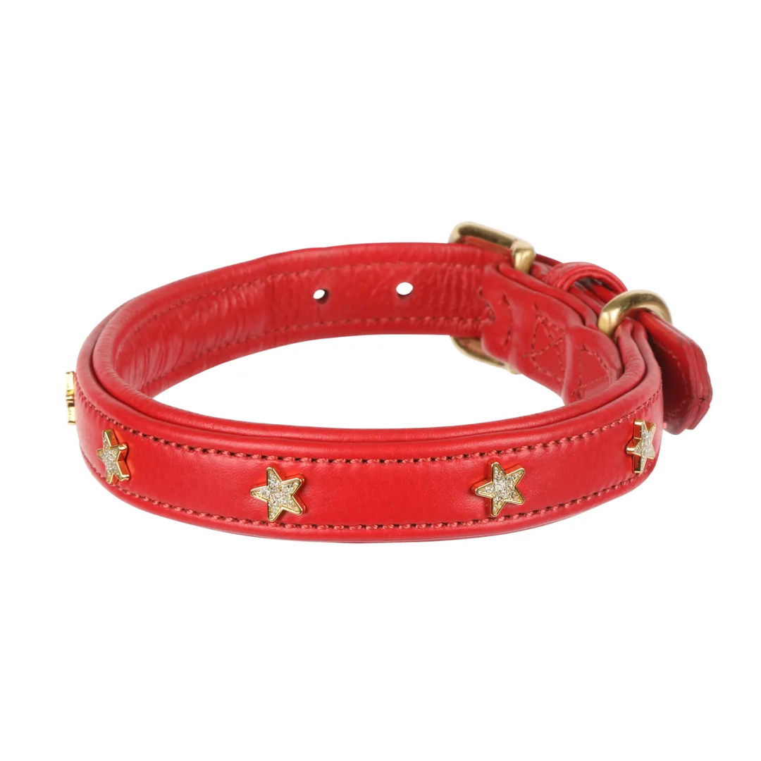 Shires Digby & Fox Star Dog Collar